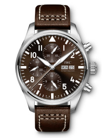 IWC IW377713