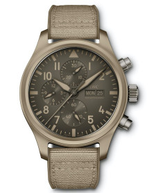 IWC IW389103