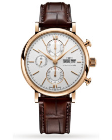 IWC IW391025