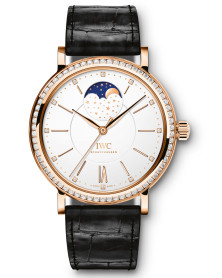 IWC IW459009