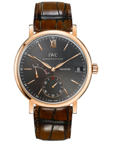 IWC IW510104