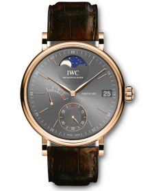 IWC IW516403