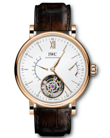 IWC IW516501