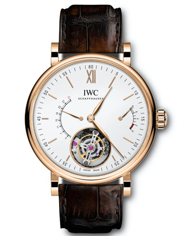 IWC IW516501