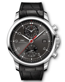 IWC IW390503
