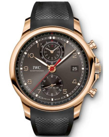 IWC IW390505