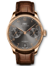 IWC IW500702