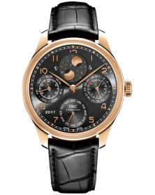 IWC IW503404