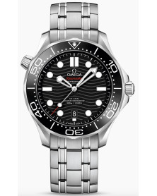 Omega 210_30_42_20_01_001